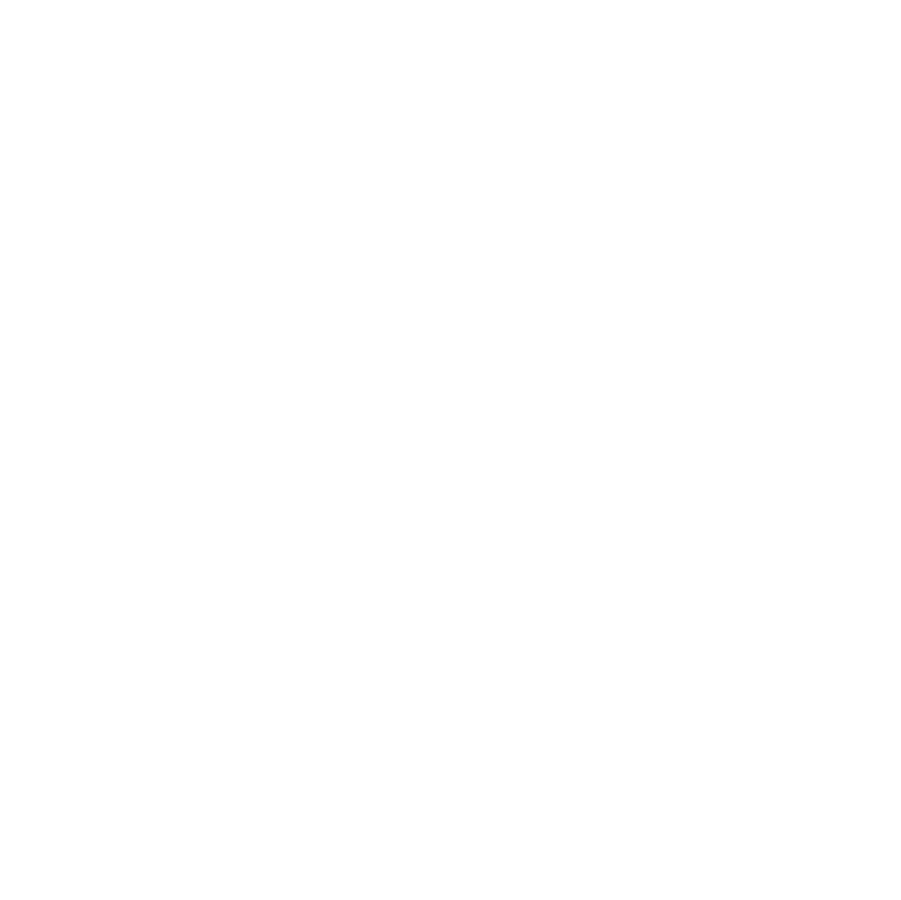 Texas de Brazil Logo