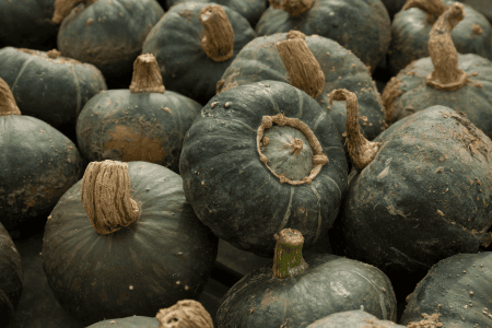 a stack of green buttercup squash