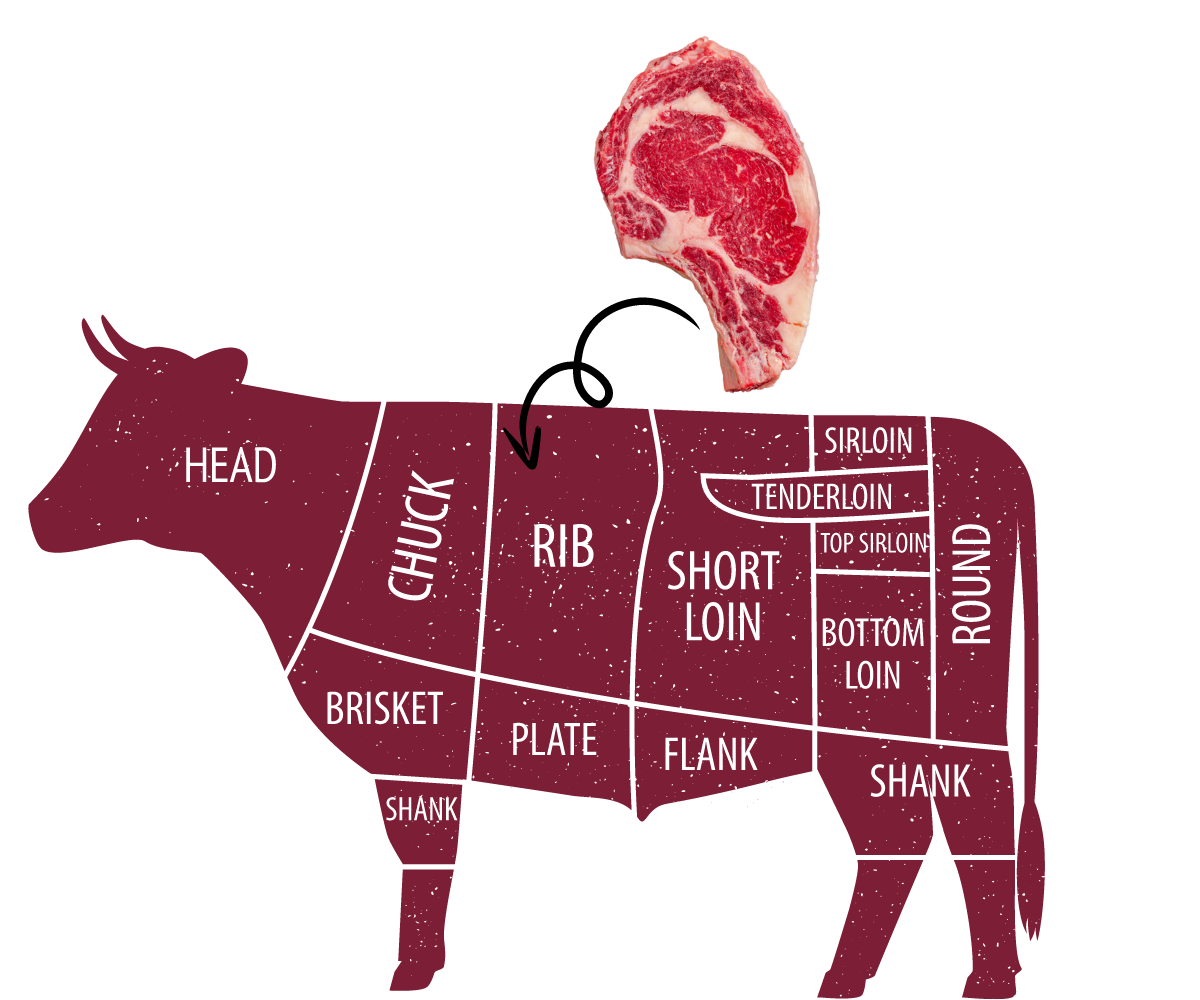 ribeye steak on a diagram of a cow