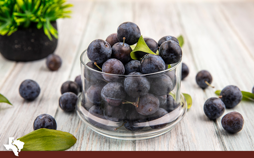 Acai