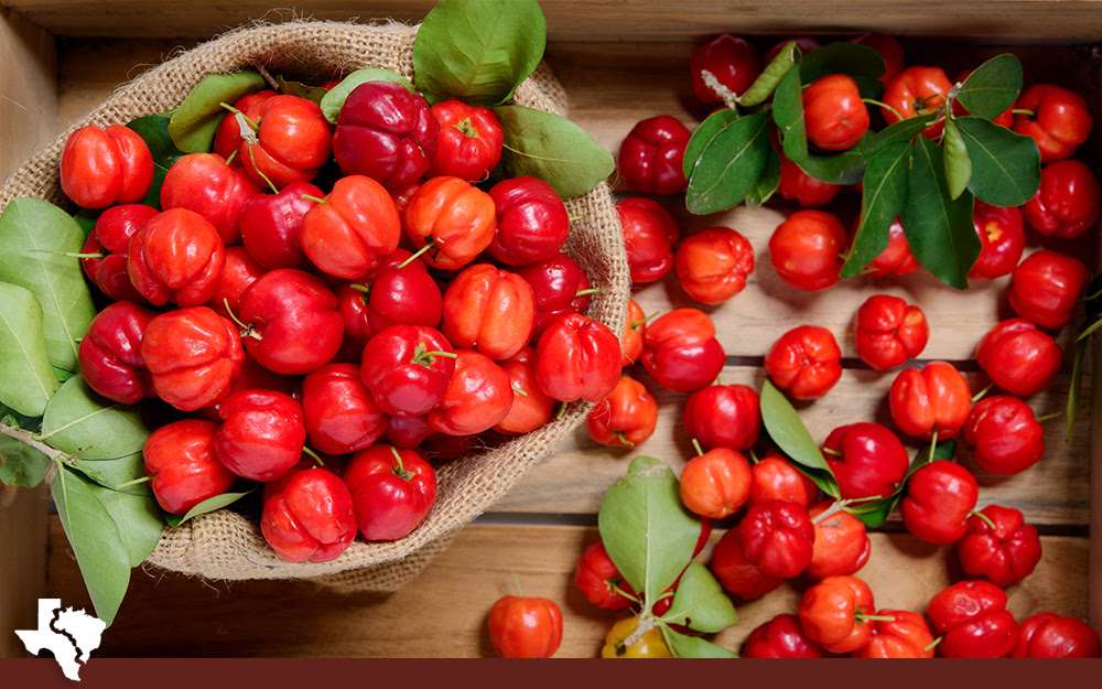 Acerola