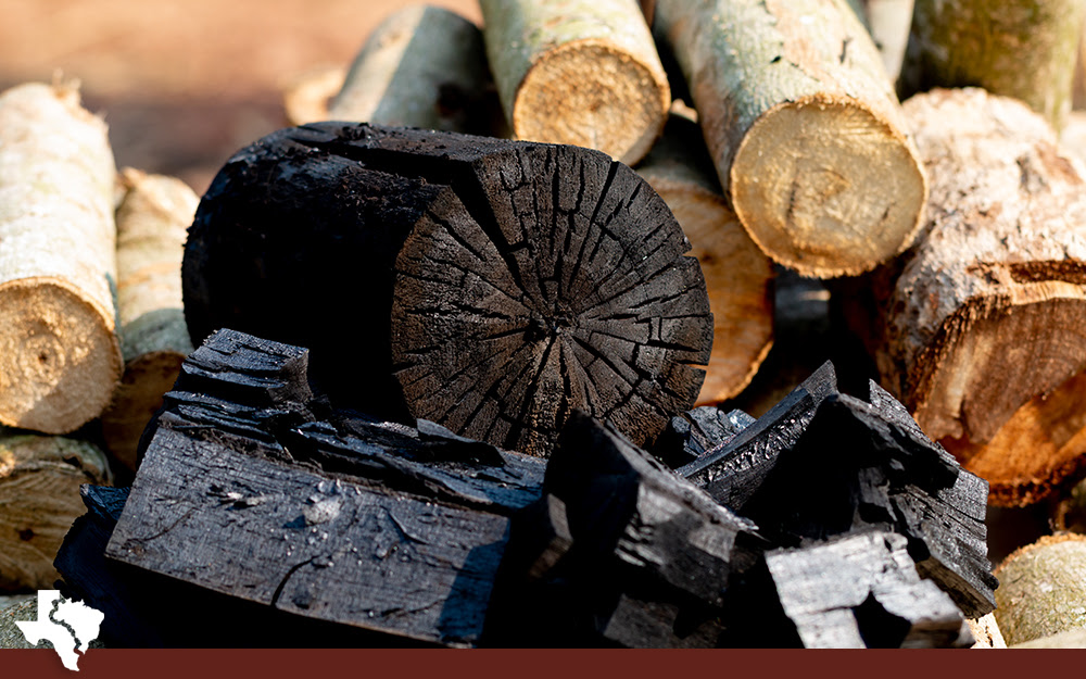 Charcoal Wood or Gas