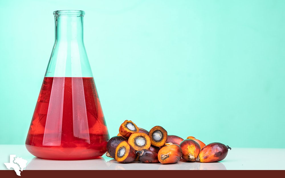 Health Benefits And Kitchen